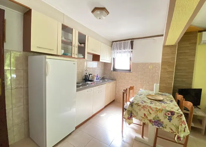 Fran * ツリクヴェニツァ