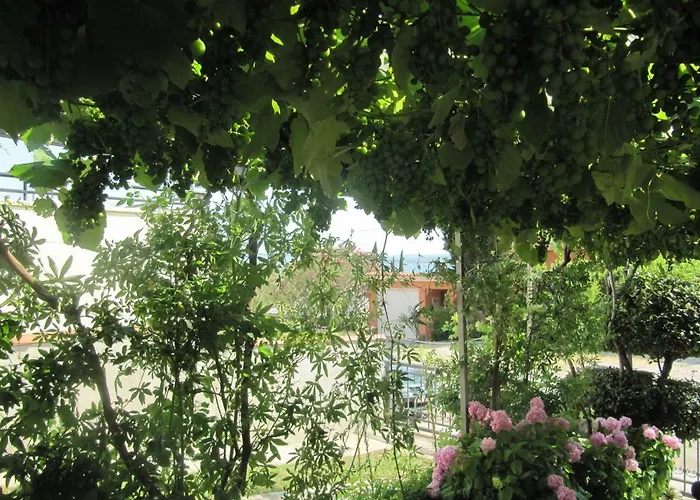 Fran Apartman Crikvenica